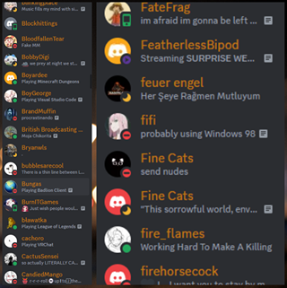 Showcasing how Premium Online Members looks like in your discord server.