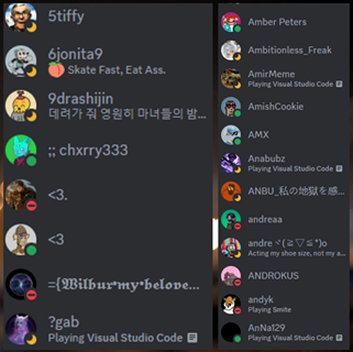 Showcasing how NFT Online Members looks like in your discord server.